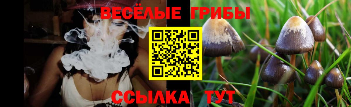 Аргун  Псилоцибиновые грибы прущие грибы  Вход с VPN  Псилоцибиновые грибы MAGIC MUSHROOMS 